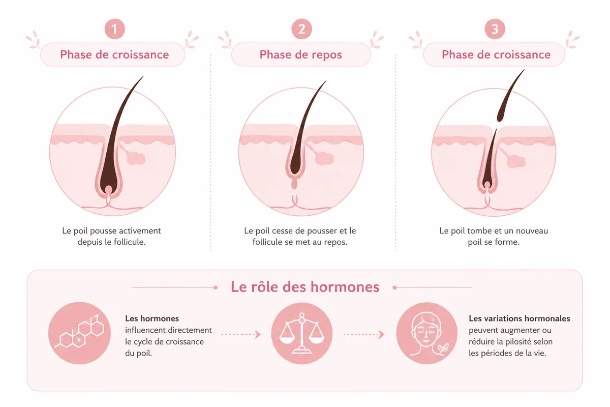 Hormones et repousse après laser : comprendre sans paniquer